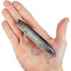 imageBerkley Cane Walker Saltwater Fishing Hard BaitMullet