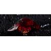 imageBerkley Clickin Frittside Hard BaitRed Spring Craw