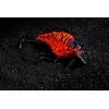 imageBerkley Clickin Frittside Hard BaitRed Spring Craw