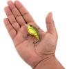 imageBerkley Clickin Frittside Hard BaitRootbeer Craw