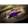 imageBerkley Flicker Shad ShallowSlick Firetiger