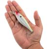 imageBerkley Juke Saltwater Fishing Hard BaitClown