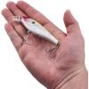 imageBerkley Juke Saltwater Fishing Hard BaitClown