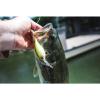 imageBerkley Money Badger Fishing Hard BaitSpring Craw