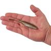 imageBerkley PowerBait Drip MinnowTennessee Shad