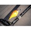 imageBull Crankbait by BerkleySexier Shad