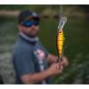 imageBull Crankbait by BerkleySexier Shad