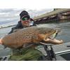imageBull Crankbait by BerkleySexier Shad