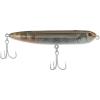 Mangrove Minnow Mangrove Minnow