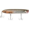 Mangrove Minnow Mangrove Minnow
