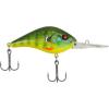 Rubbertail Rubbertail
