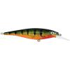 Flashy Perch Flashy Perch