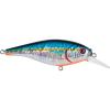 Slick Blue Alewife Slick Blue Alewife