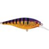 Slick Purple Bengal Slick Purple Bengal