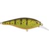 Yellow Perch Yellow Perch