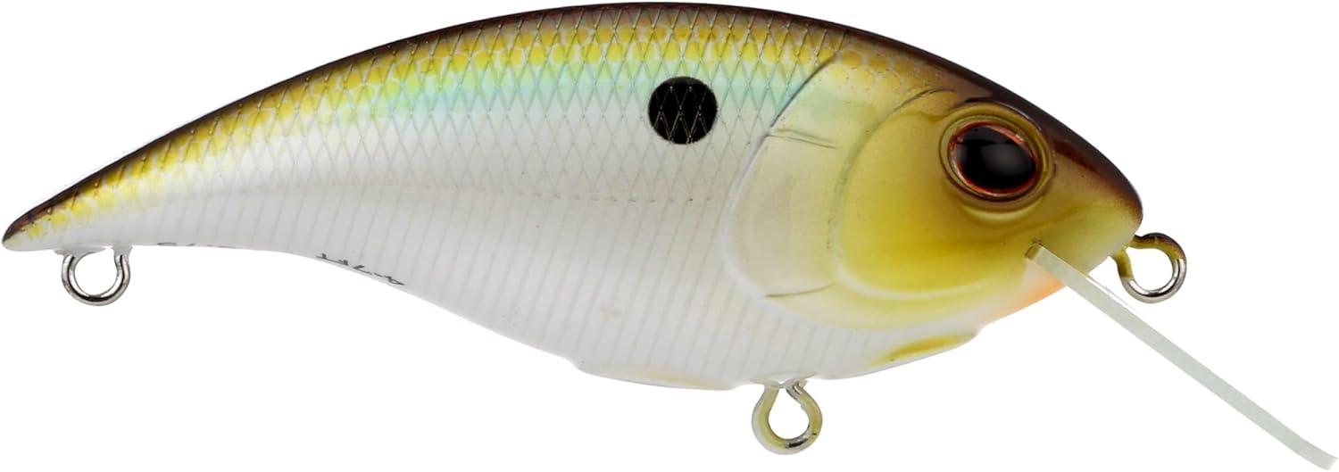 imageBerkley Shallow Money Badger Fishing Hard BaitTennessee Shad