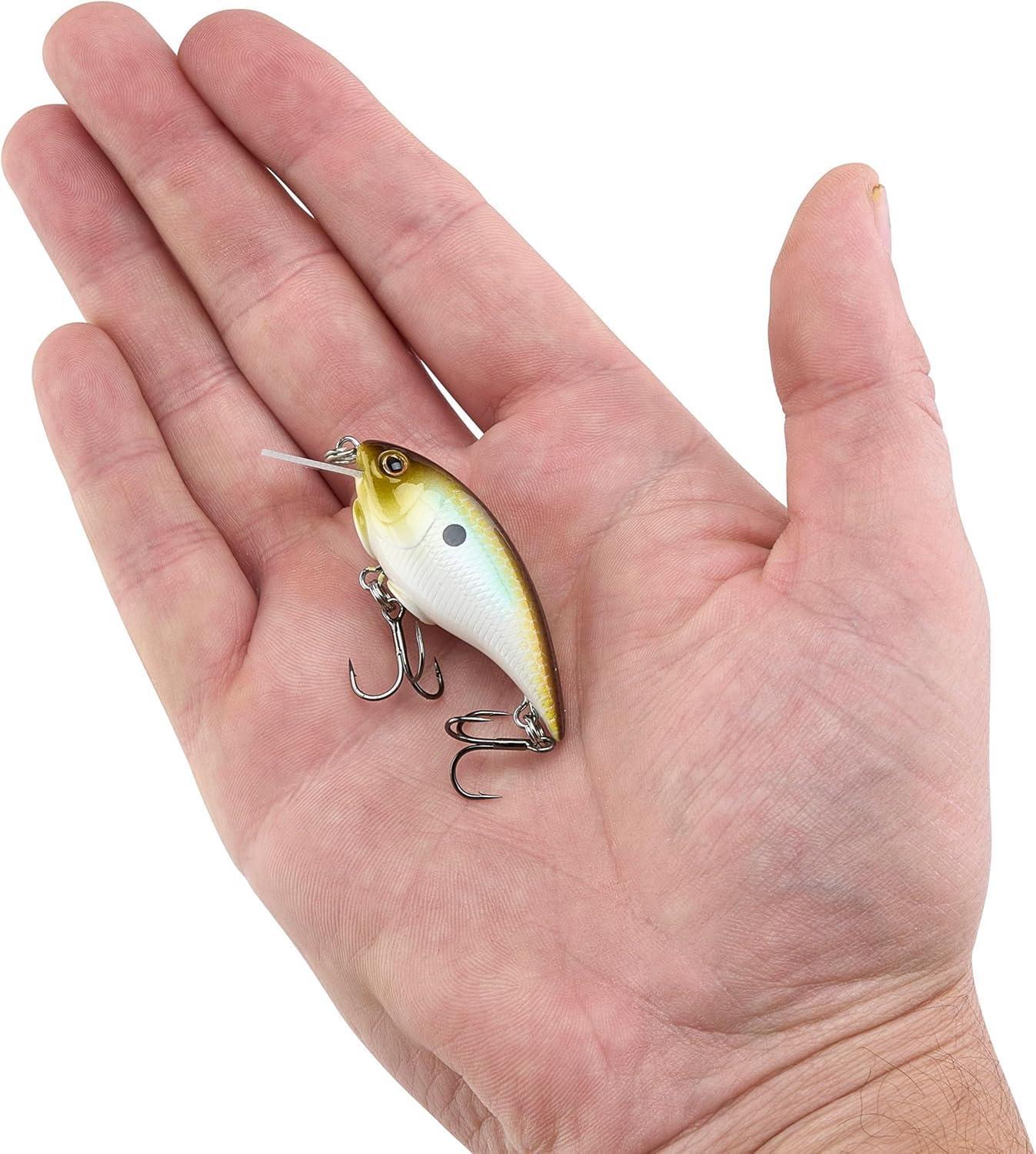 imageBerkley Shallow Money Badger Fishing Hard BaitTennessee Shad