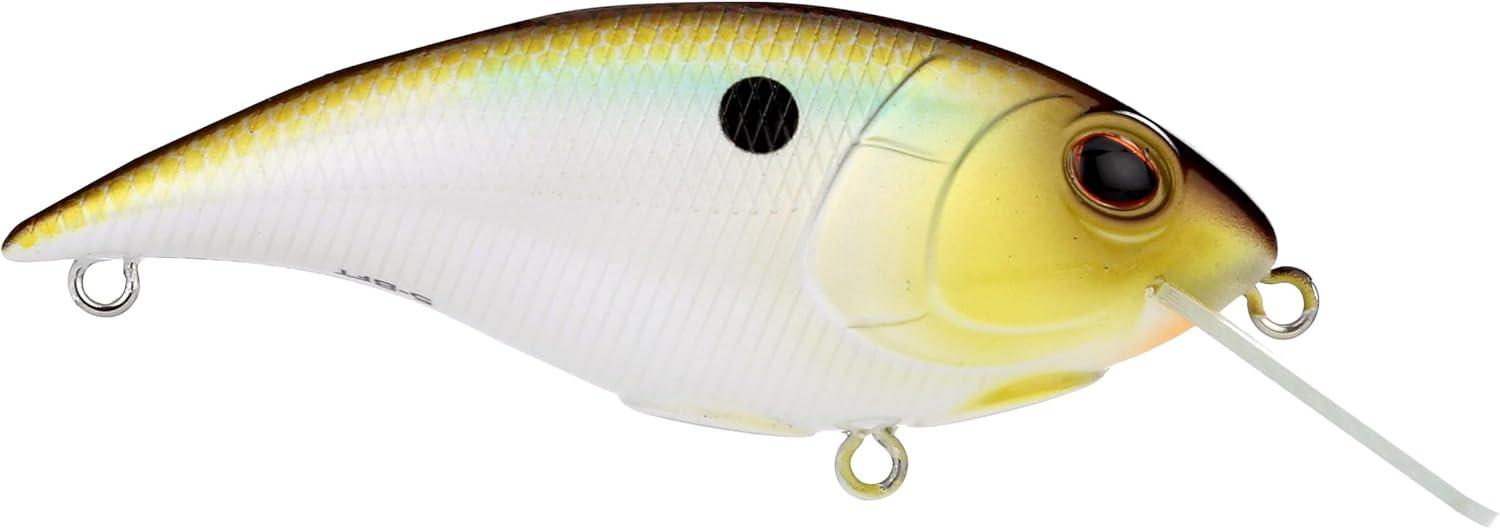 imageBerkley Shallow Money Badger Fishing Hard BaitTennessee Shad