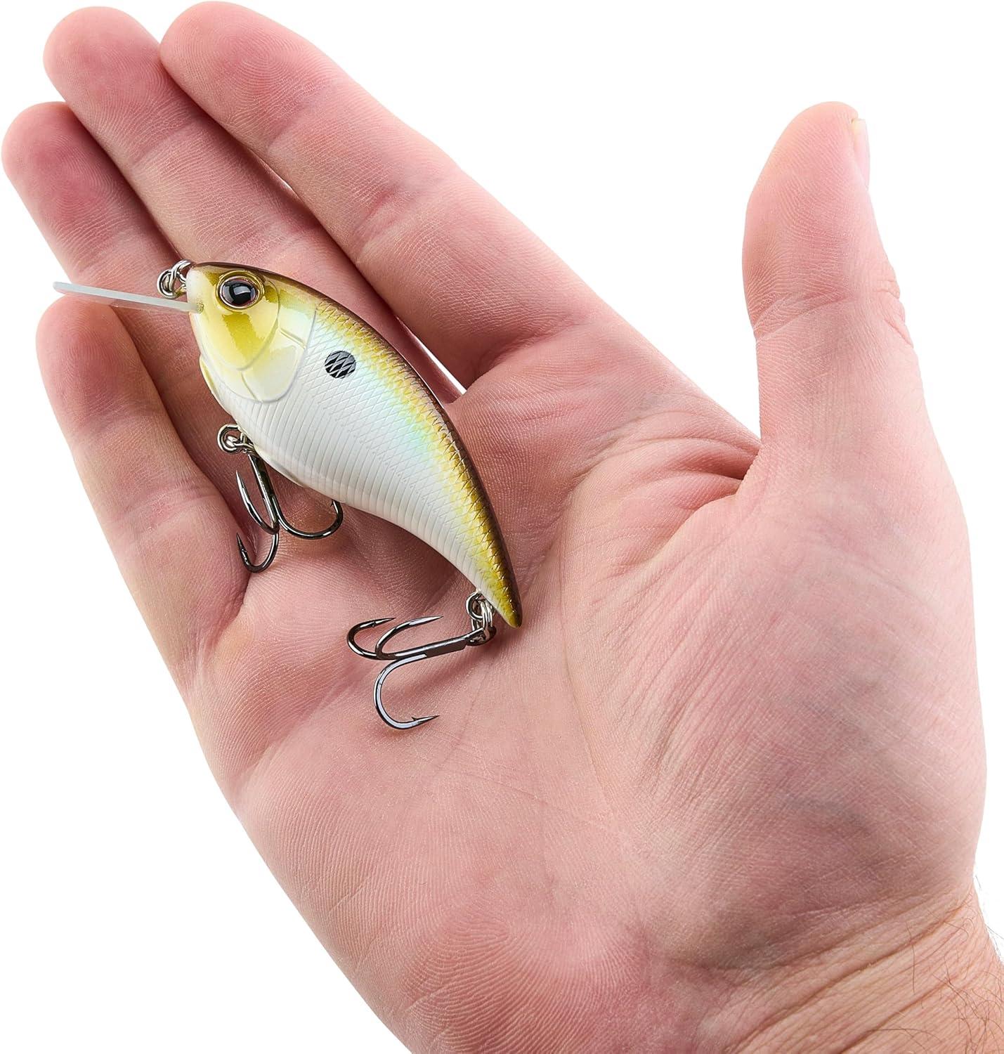 imageBerkley Shallow Money Badger Fishing Hard BaitTennessee Shad