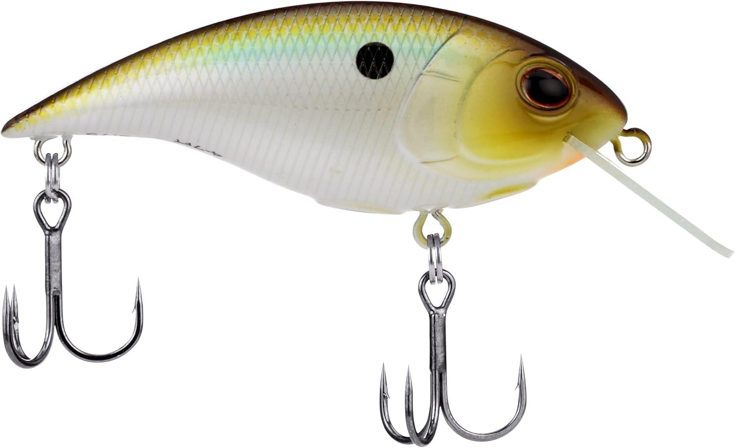 imageBerkley Shallow Money Badger Fishing Hard BaitTennessee Shad