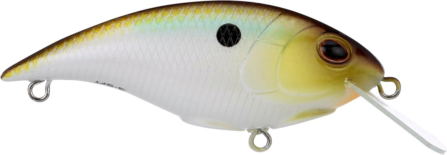 imageBerkley Shallow Money Badger Fishing Hard BaitTennessee Shad