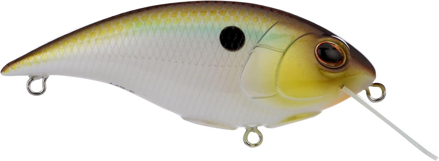 imageBerkley Shallow Money Badger Fishing Hard BaitTennessee Shad