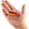 imageBerkley Money Badger Fishing Hard BaitFire Craw