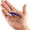imageBerkley Money Badger Fishing Hard BaitViking Perch