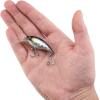 imageBerkley Shallow Money Badger Fishing Hard BaitBlack Silver