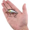 imageBerkley Shallow Money Badger Fishing Hard BaitBlack Silver