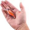 imageBerkley Shallow Money Badger Fishing Hard BaitBlaze