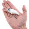 imageBerkley Shallow Money Badger Fishing Hard BaitBlue Frost