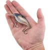 imageBerkley Shallow Money Badger Fishing Hard BaitCrystal Shad