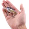 imageBerkley Shallow Money Badger Fishing Hard BaitCrystal Shad