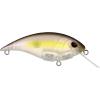 imageBerkley Shallow Money Badger Fishing Hard BaitGhost Morning Dawn