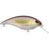 imageBerkley Shallow Money Badger Fishing Hard BaitGhost Morning Dawn