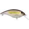 imageBerkley Shallow Money Badger Fishing Hard BaitGhost Morning Dawn
