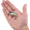 imageBerkley Shallow Money Badger Fishing Hard BaitGhost Sexy Shad