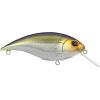 imageBerkley Shallow Money Badger Fishing Hard BaitNebu
