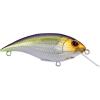 imageBerkley Shallow Money Badger Fishing Hard BaitNebu