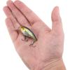 imageBerkley Shallow Money Badger Fishing Hard BaitNebu