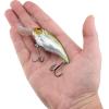imageBerkley Shallow Money Badger Fishing Hard BaitNebu