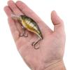 imageBerkley Shallow Money Badger Fishing Hard BaitPerch