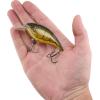 imageBerkley Shallow Money Badger Fishing Hard BaitPhantom Craw