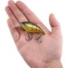 imageBerkley Shallow Money Badger Fishing Hard BaitPhantom Craw