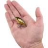 imageBerkley Shallow Money Badger Fishing Hard BaitPhantom Craw