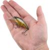 imageBerkley Shallow Money Badger Fishing Hard BaitPhantom Craw