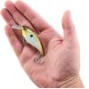 imageBerkley Shallow Money Badger Fishing Hard BaitTennessee Shad