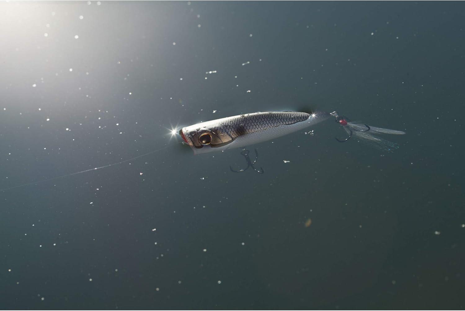 imageBerkley Bullet Pop Topwater Fishing Lure MF Frog 25 oz 70mm  275in Topwater Tail Weighted Design Tuned for Maximum Casting Distance Equipped with Fusion19 Hook
