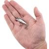 imageBerkley Finisher Fishing Hard BaitBlack Silver